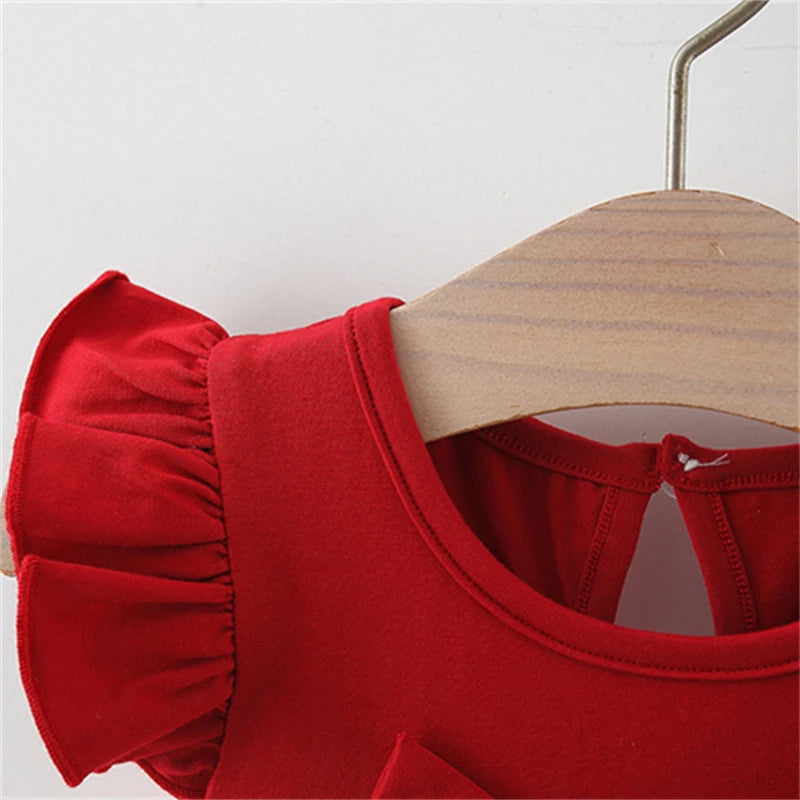 Baby Girl Red Heart Embroidered Tutu Dress – Mesh Bow Birthday Party Dress