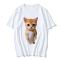 Clearance_Funny Cat 3D Print Women Casual T-Shirt Women Men Summer Harajuku T Shirts Girl Boy Casual Fashion Clothes_Continuous